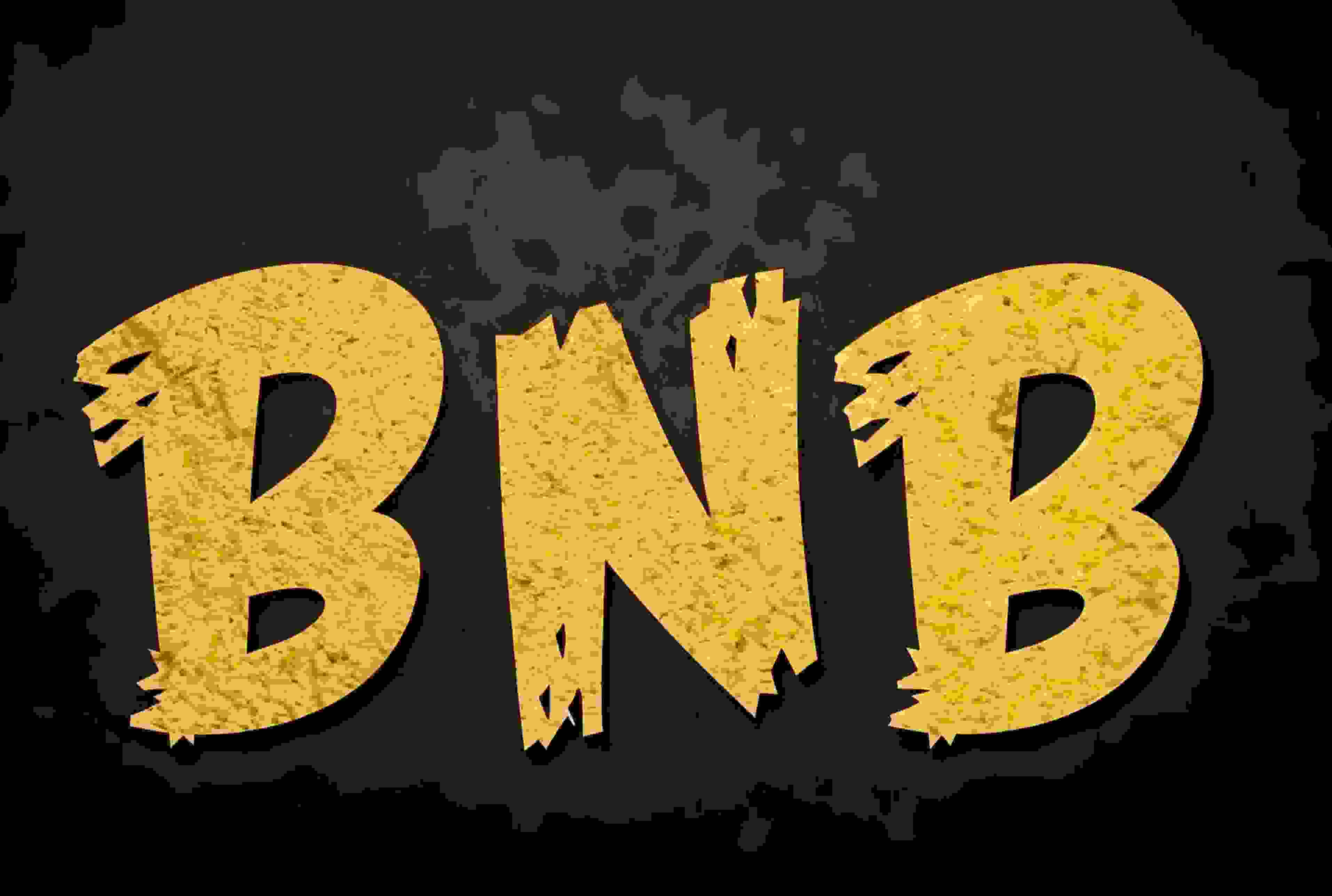 我为什么会坚定的持有BNB？