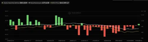 SpaceX 历史性 IPO 期间比特币 ETF 创下一个月来最高流入量