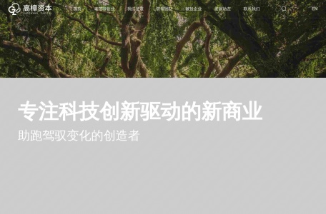 高樟资本